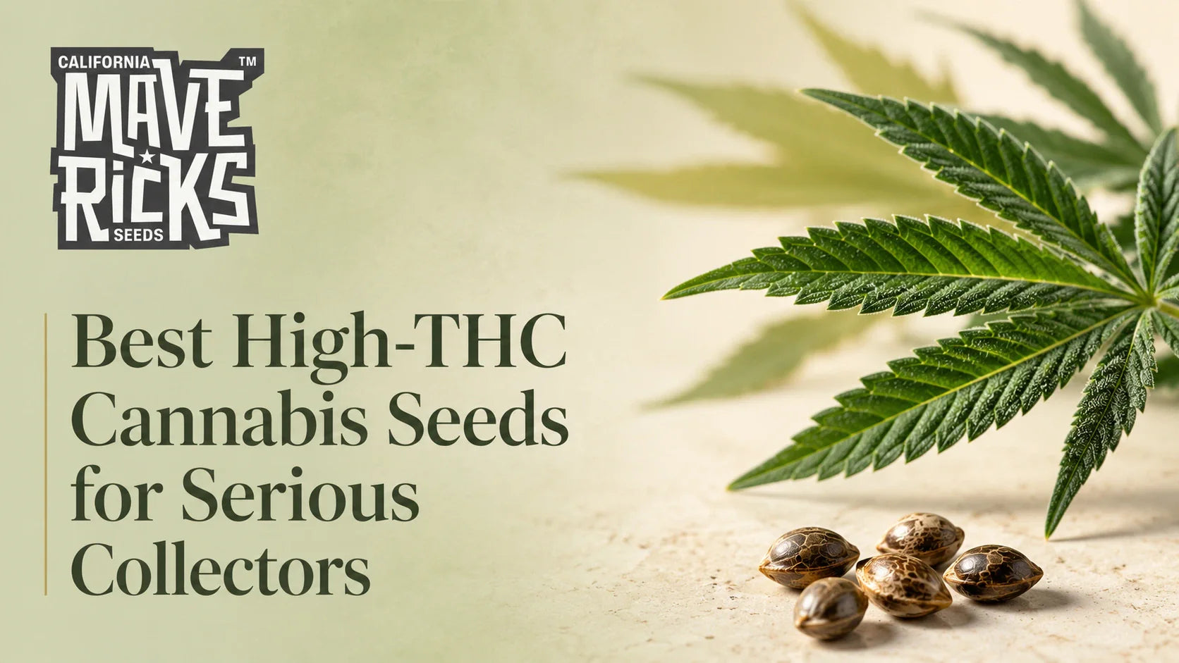 Best High-THC Cannabis Seeds for Serious Collectors