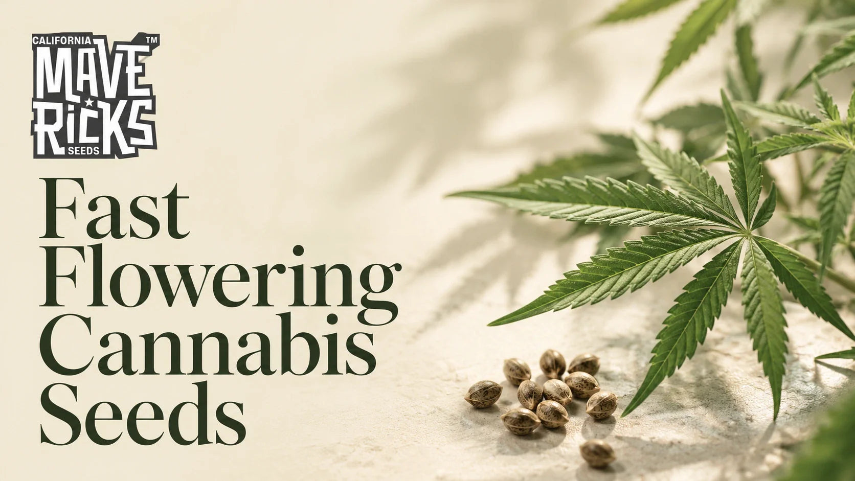 Fast Flowering Cannabis Seeds: Why Speed Matters in Modern Genetics