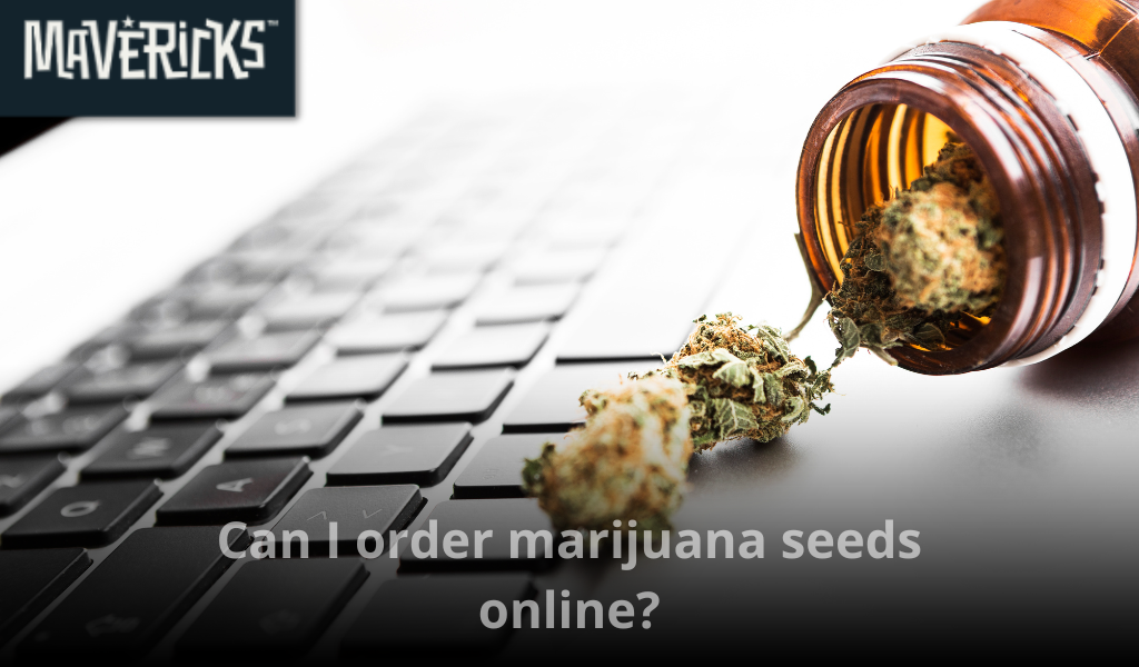Can I order marijuana seeds online?