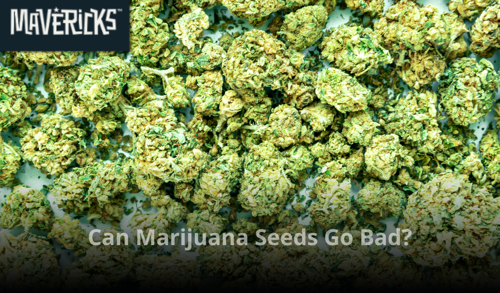 Can marijuana seeds go bad?