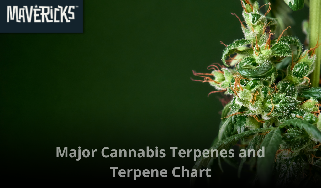 Major Cannabis Terpenes and Terpene Chart: Understanding the Aromatic Soul of Cannabis