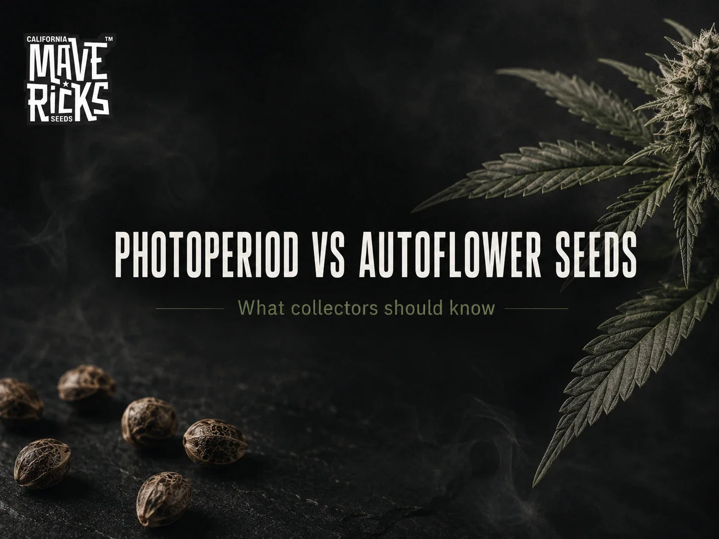 Photoperiod vs Autoflower Seeds: What Collectors Should Know