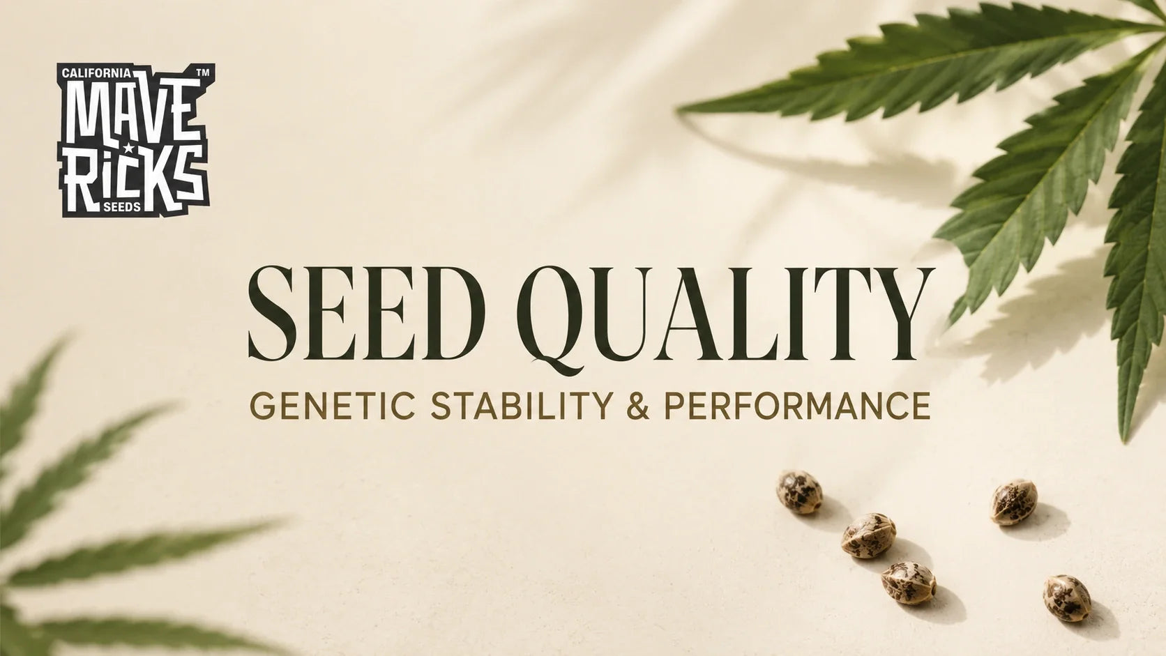 How Seed Quality Affects Genetic Stability and Performance KW seed quality