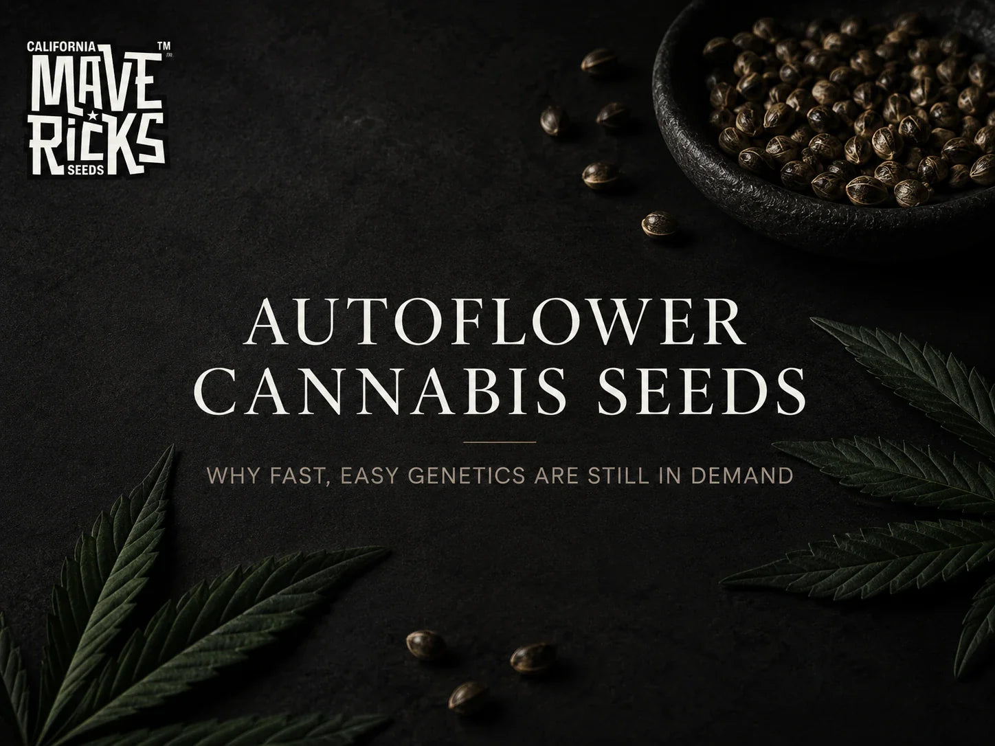 Autoflower Cannabis Seeds: Why Fast, Easy Genetics Are Still in Demand