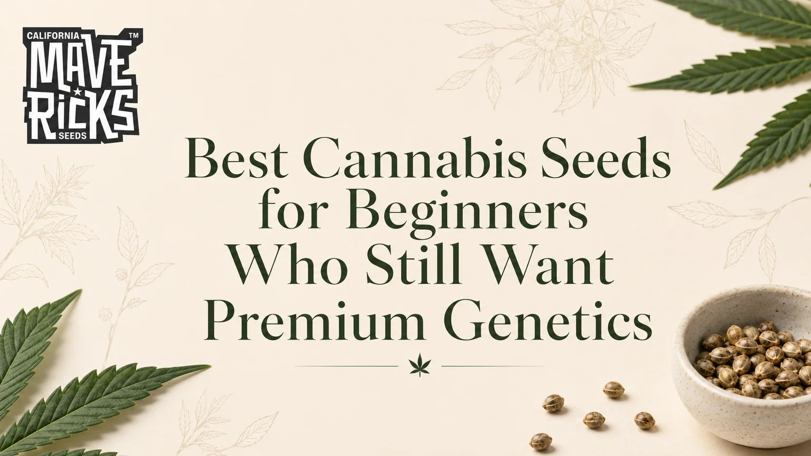 Best Cannabis Seeds for Beginners Who Still Want Premium Genetics