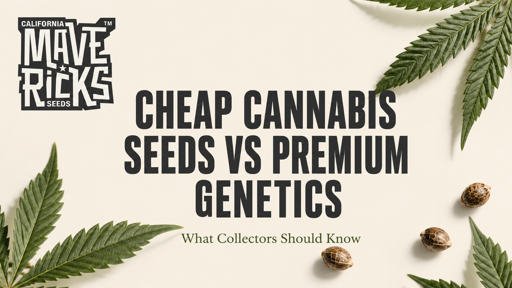 Cheap Cannabis Seeds vs Premium Genetics: What Collectors Should Know