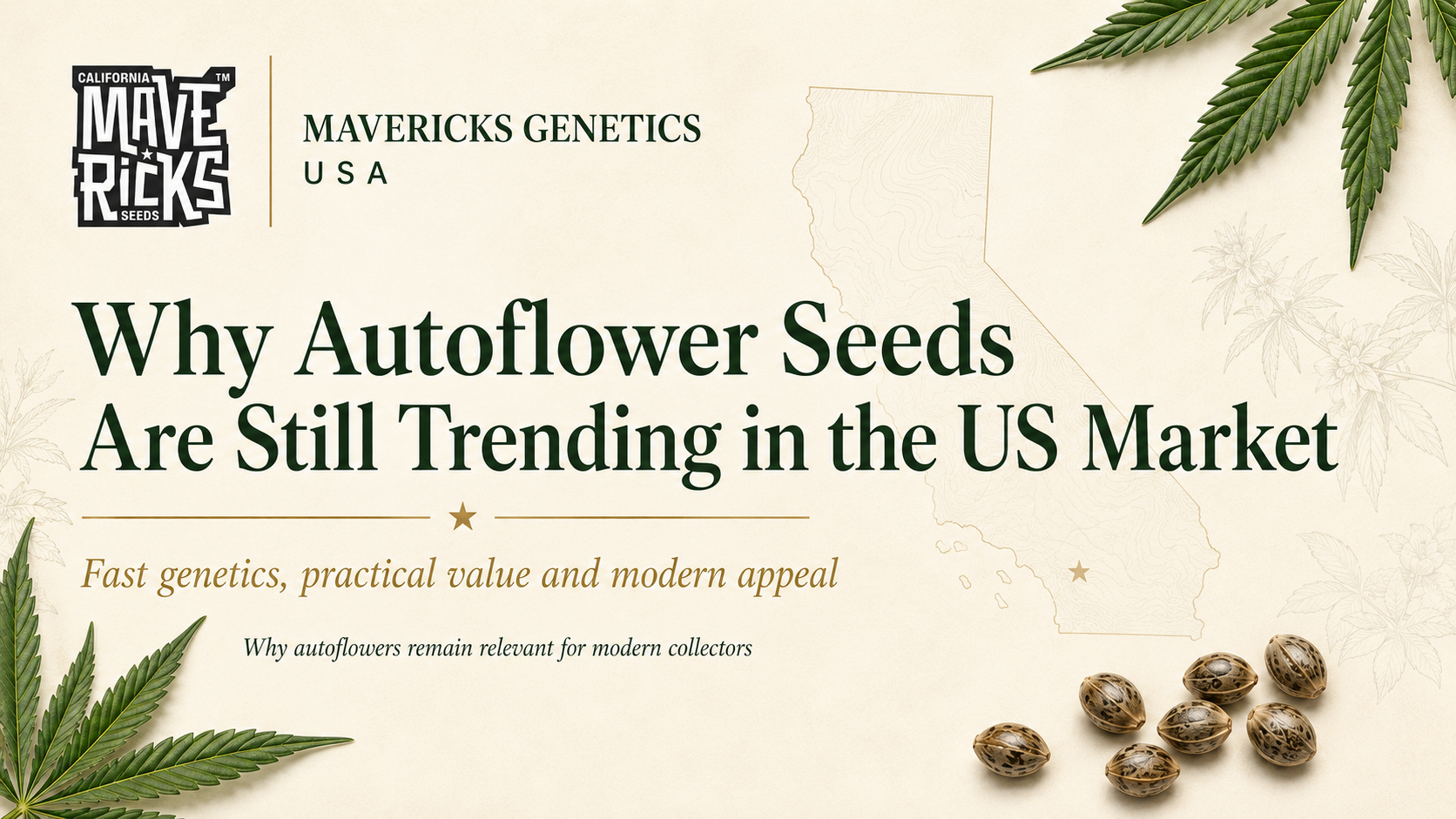 Why Autoflower Seeds Are Still Trending in the US Market