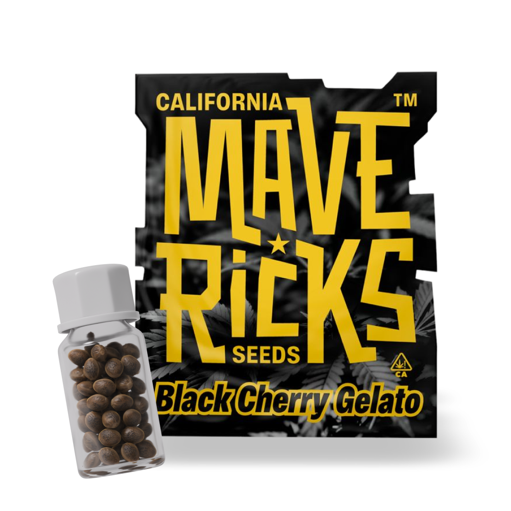 Black Cherry Gelato